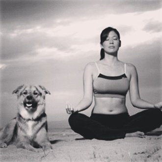 Yoga_adictos's tweet photo. Medite al atardecer, mirando las estrellas y acariciando a su perro, es un remedio infalible. https://t.co/sT82KCi5Lz