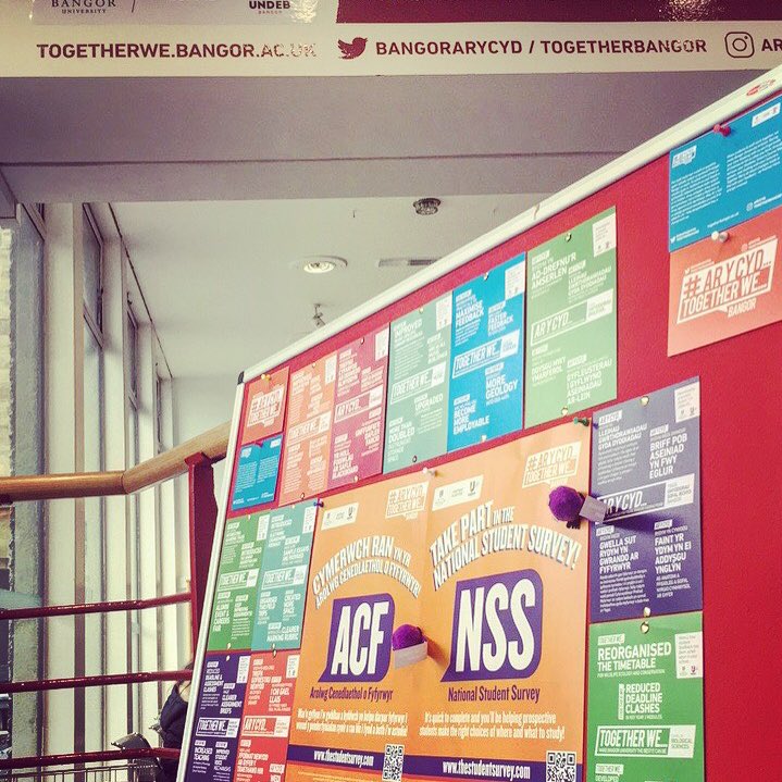 FINAL YEARS! Have you completed the NSS yet? If not, get it done right here, right now: thestudentsurvey.com👌 #togetherweek #bangorNSS