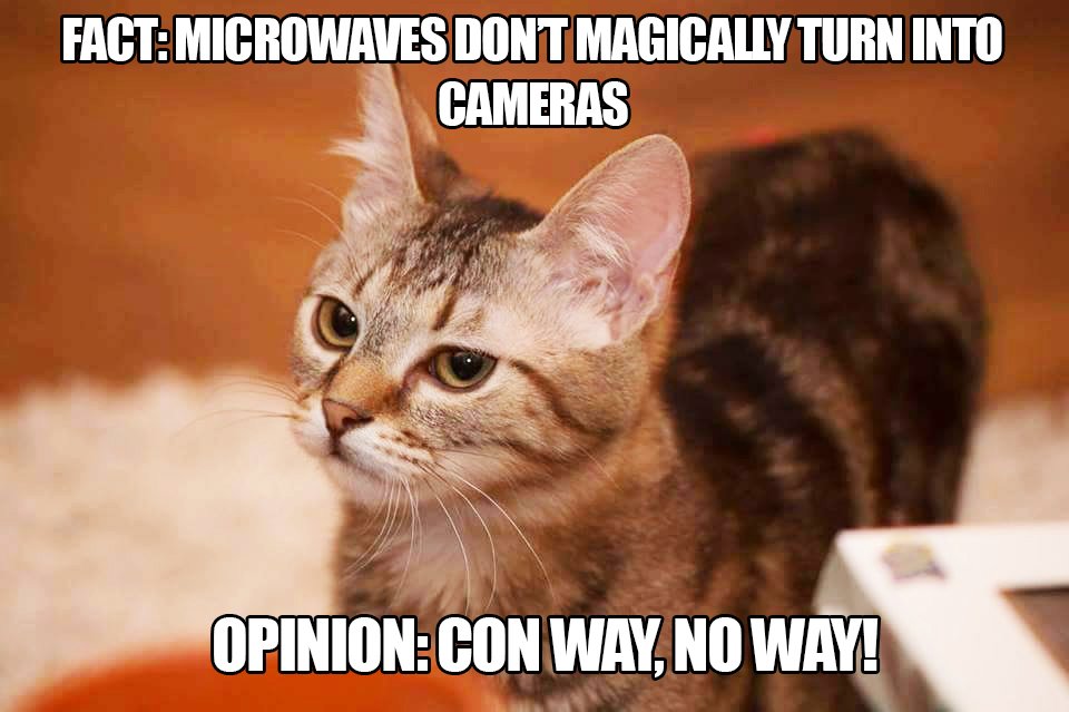MitziMcSaurus's tweet photo. @KellyannePolls gettin' CATsplained https://t.co/UeFGxnPxEX
