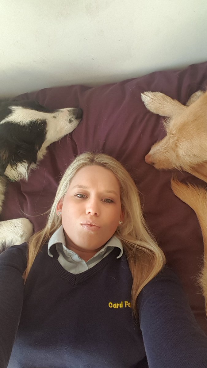 princesswifty2's tweet photo. Doggies 😀😀😀😀 https://t.co/J9kZoYD64X