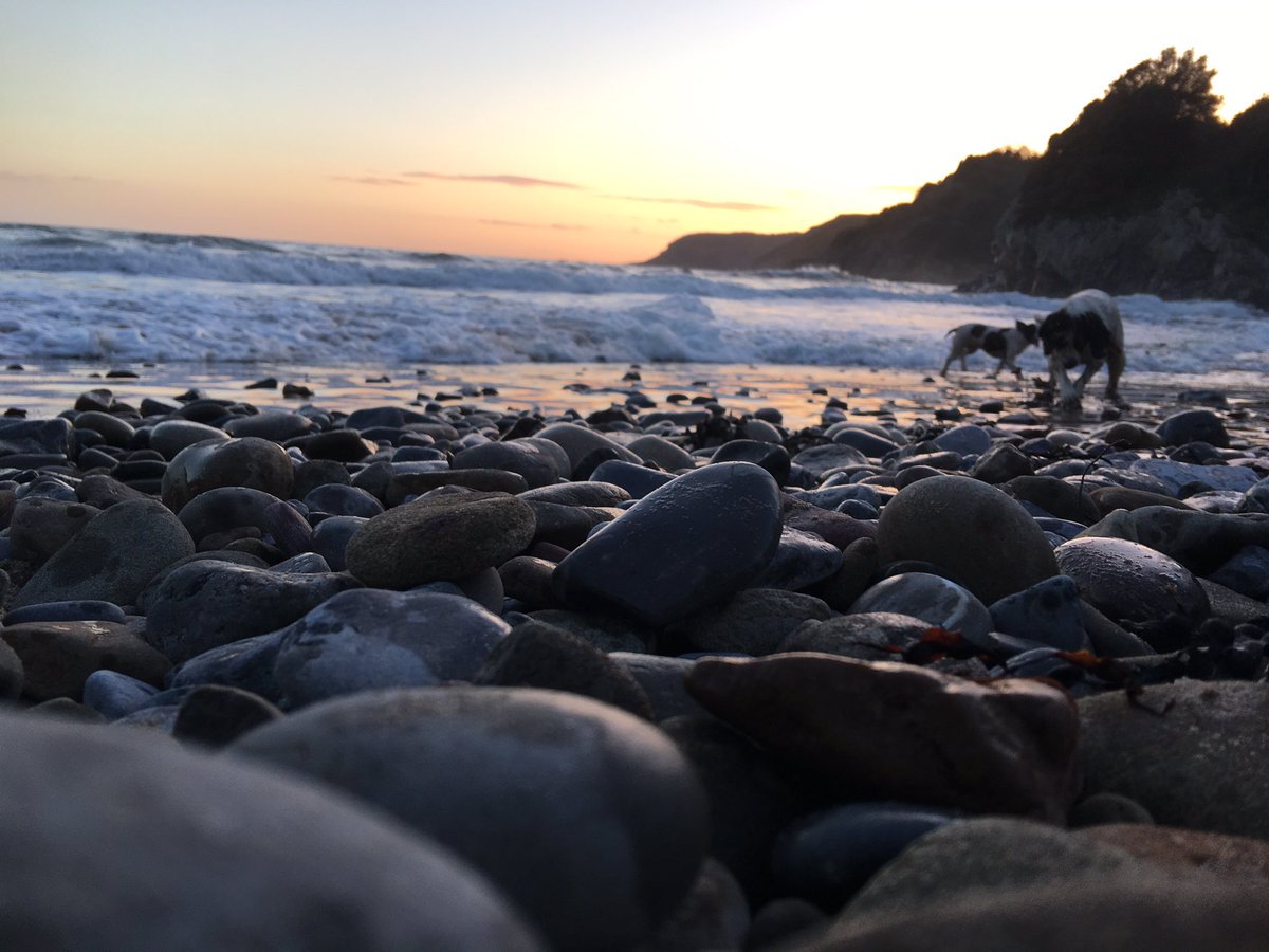 ItsYourWales's tweet photo. Jan with the 'tide in' at Caswell Bay last night - #WelshTranquility #BeautifulWales courtesy @brynorwen https://t.co/jFKeU84912