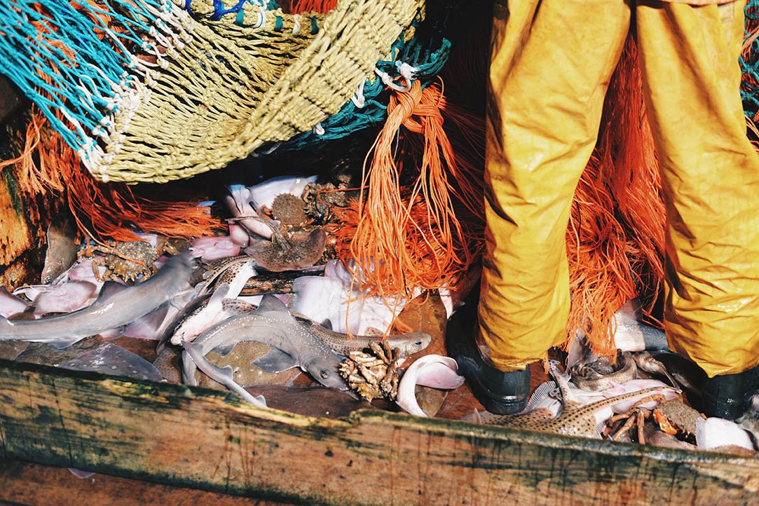 On our blog, 'Greaduriad Y Mor' by 3rd yr photography student <a href="/UniCreativeArts/">University for the Creative Arts</a> Alice Andrew afinebeginning.com/blog/