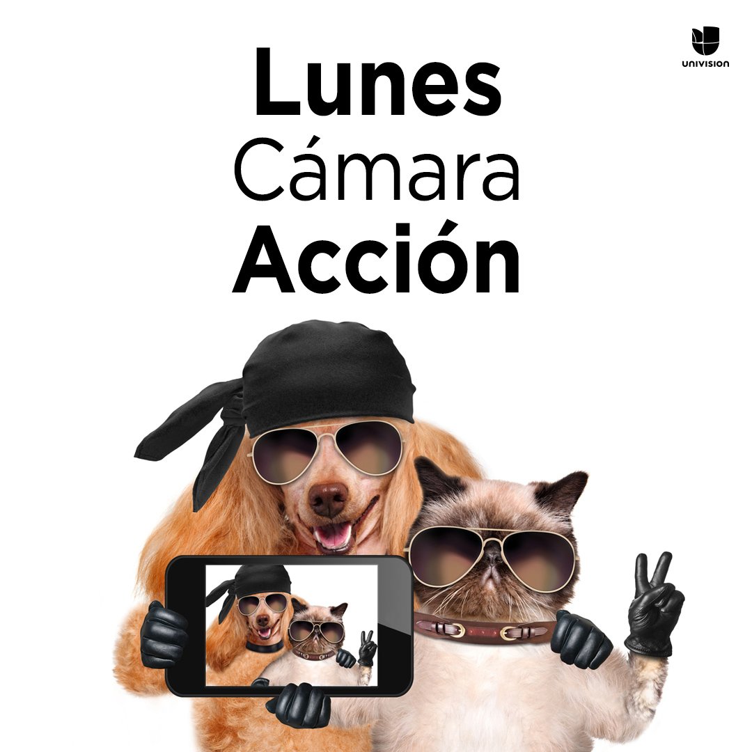 Univision's tweet photo. ¡Y a disfrutar de esta nueva semana! ¿Listos? https://t.co/IayOfxZVYu