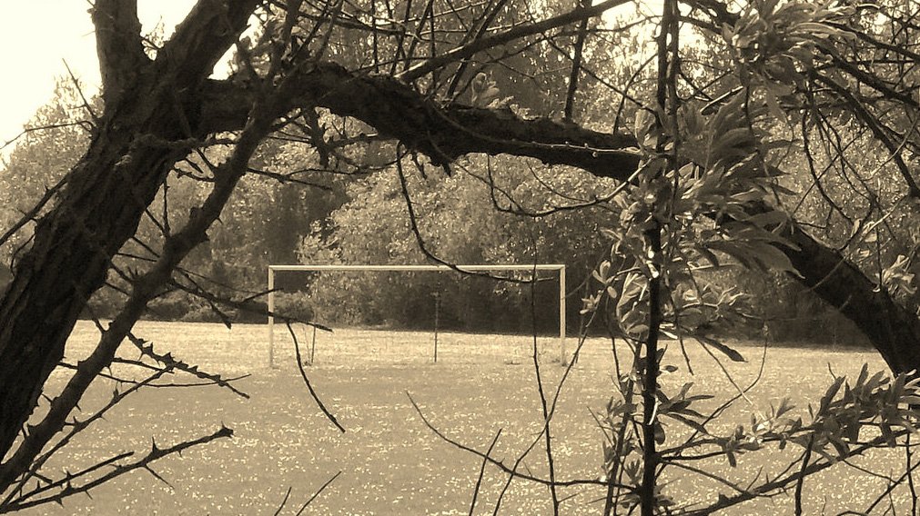 DonovanTraining's tweet image. Essential reading if you've ever found yourself saying 'one day I will…' #Management  #ObjectiveSetting ow.ly/S9j3309JDUW