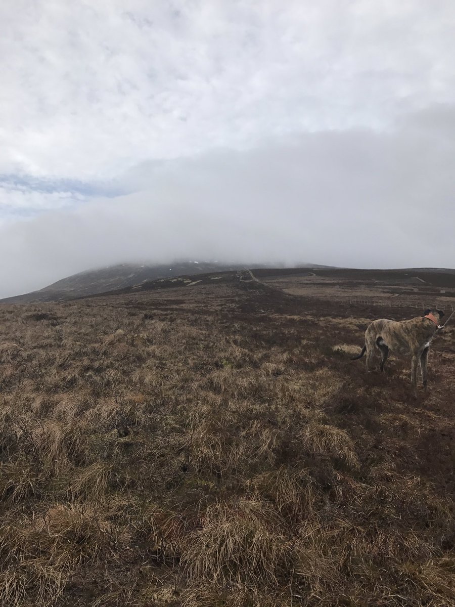 The intrepid walkers are well on their way to Cheviot. It's just ahead in the clouds!