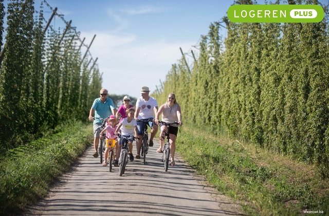 VlaVakantieland's tweet photo. Bierliefhebber?Met #logerenplus van vakantiewoning In ’t Groen fiets je van de hopvelden naar een brouwerij en abdij.https://t.co/HRwE1zSRZm https://t.co/b9GV2I0UHU