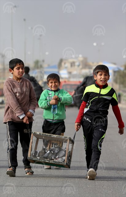 HeminBaban's tweet photo. #Mosul
#ISIS
#photojournalism,#MosulOperation,#Iraq
#Idp,#warphotography,#photojournalist,
@aa_arabic,@anadoluagency
@HeminBaban https://t.co/QTV2sCFLtG
