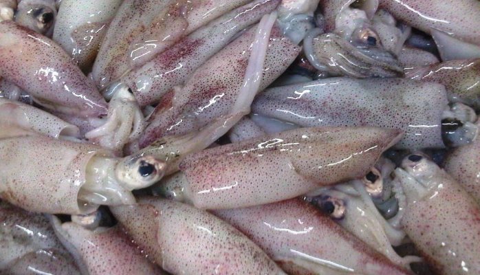 seafooddemand's tweet photo. 5/8
8/13
13/18
18/22
22/29
https://t.co/bOjvnyJ21g https://t.co/corKuEebrC