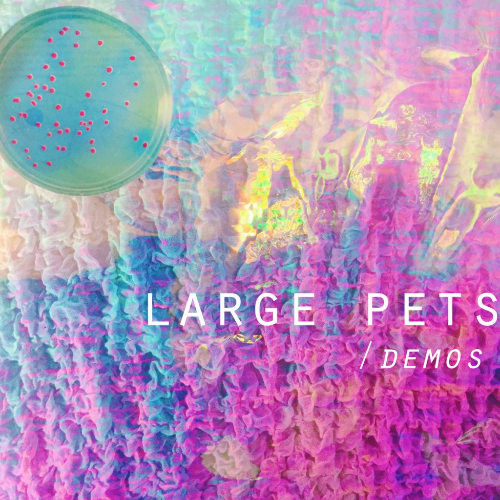 AudioCamp's tweet photo. Large Pets – Demos https://t.co/SXgdfIAhOV https://t.co/mY9azgwjGY