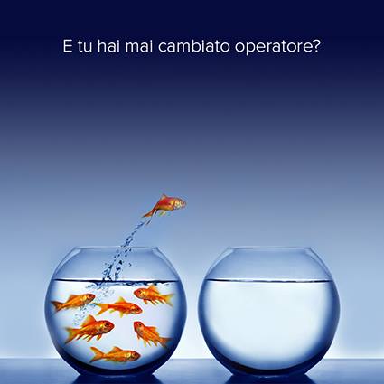 dedalogate's tweet photo. Tu hai mai cambiato operatore? #cambiooperatore #consulenzagratuita https://t.co/GpiBDFwLYT https://t.co/MlKvYeKA5f