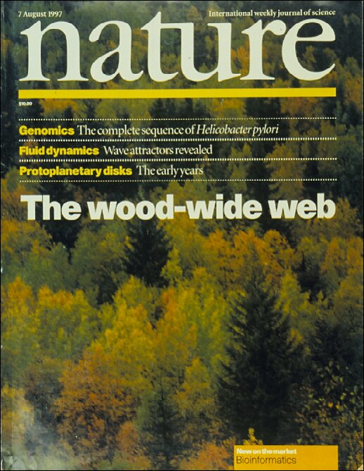 Robin Sen on Twitter: "@andyheald @JohnWeirFC Example of tight #forest OM (=log) #nutrient cycling driven #diversity via unseen root #mycorrhiza #fungi we can eat! https://t.co/KELNiQCOPl" / Twitter