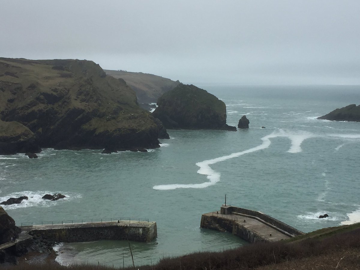 SpringboardCW's tweet image. Great @thechefsforum event held at the wonderful @mullioncove today! @Springboard_UK @SB_Ambassadors