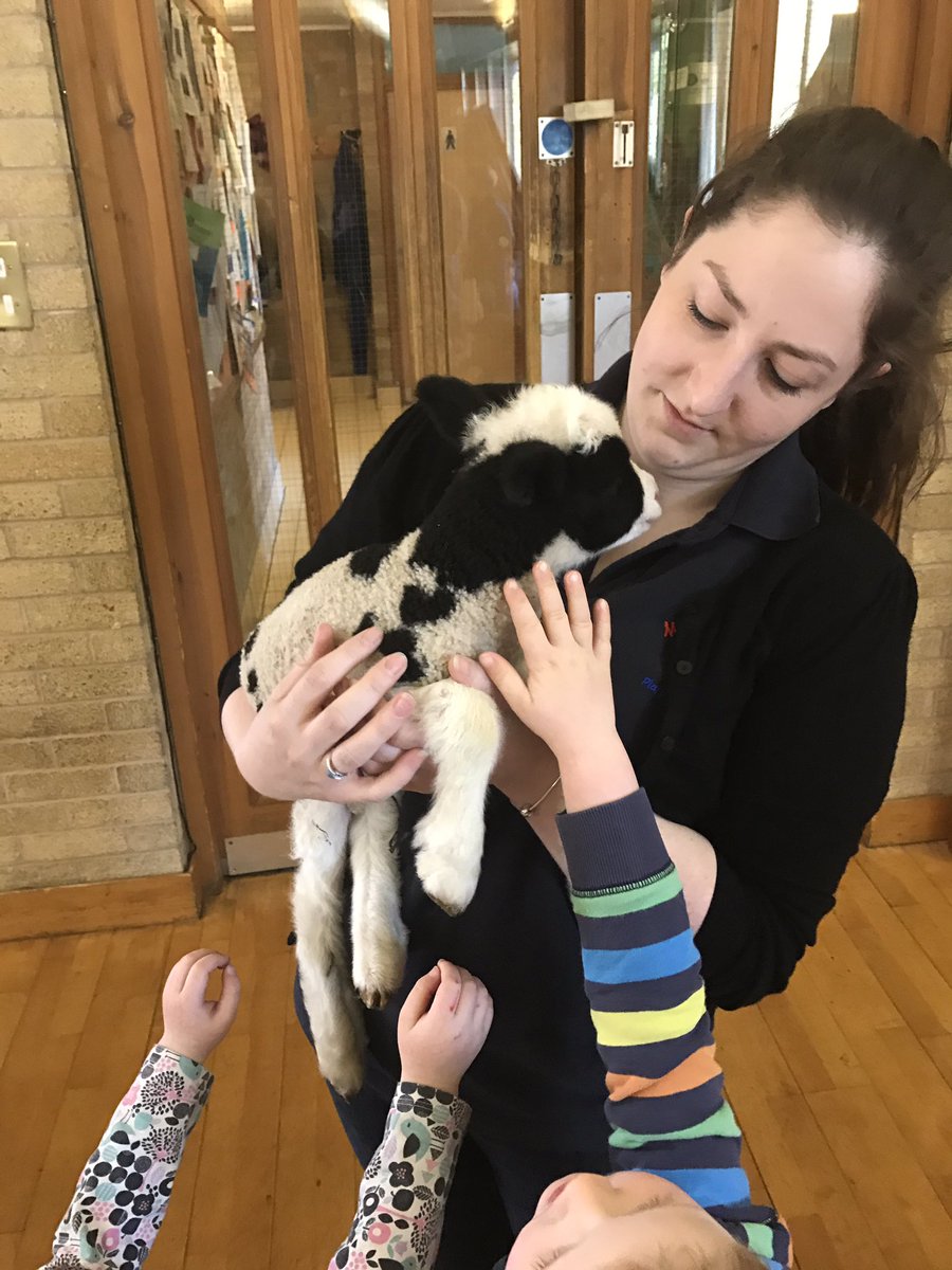 MeifodPlaygroup's tweet photo. Look who came to visit us today!! Barney the baby lamb!! We loved him he was super cute!! Xxx https://t.co/5HukdNlBst