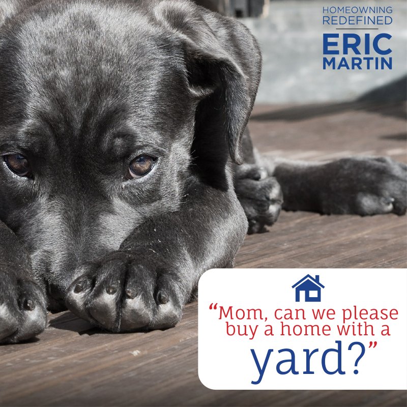 Home_Redefined's tweet photo. How could you say "no" to these puppy dog eyes? π #HomeOwningRedefined https://t.co/goy7pua50J