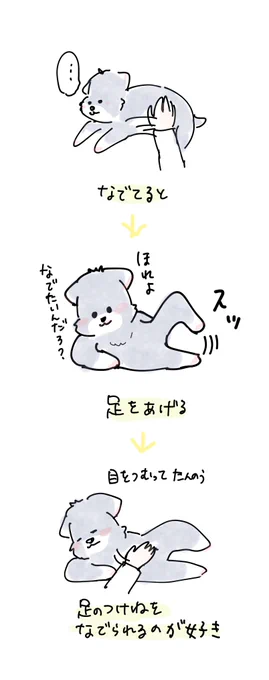 足の付け根 #犬 