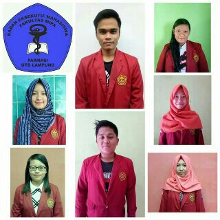 Selamat kpd teman yang terpilih sbgai TIM STAF AHLI ISMAFARSI JABODELATA Periode 2016-2018