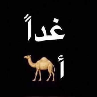 HawaSamo tweet picture