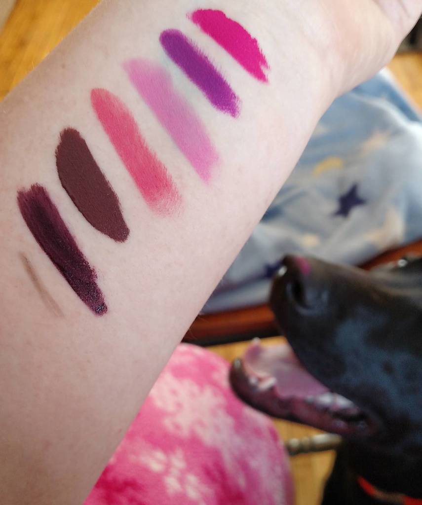 thatgeekygf's tweet image. Scout  and I got new makeup from #Reddit #MakeupExchange.

He is wearing Stila Stay All Da… ift.tt/2mSGYyJ