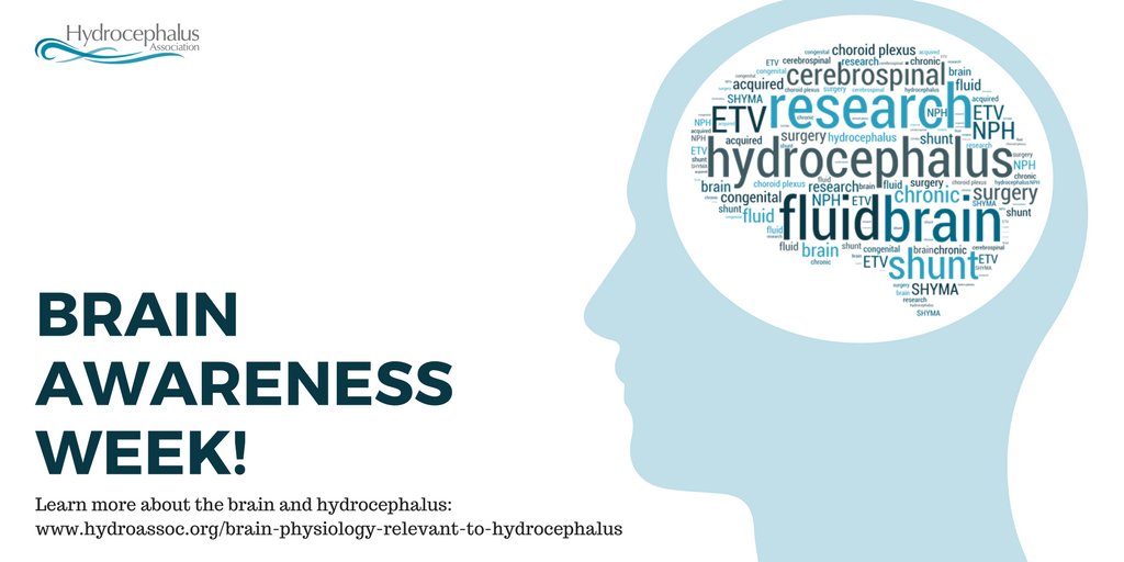 HydroAssoc's tweet photo. Learn more about the brain and hydrocephalus. https://t.co/0lTvMgu16A
#BrainAwarenesWeek https://t.co/EH0H7CzZV6