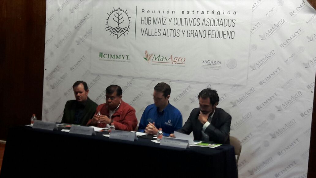 ACCIMMYT's tweet photo. Inicia la reunión estratėgica del hub maīz y cultivos asociados valles altos y grano pequeño en la Fundación Produce en tlaxcala #VAGP https://t.co/DDLh8LPNo0