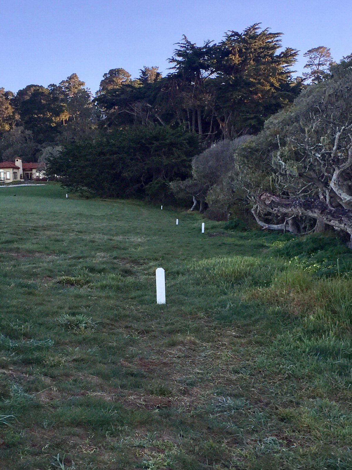 Ron Read on Twitter "White stakes could antiques under revised