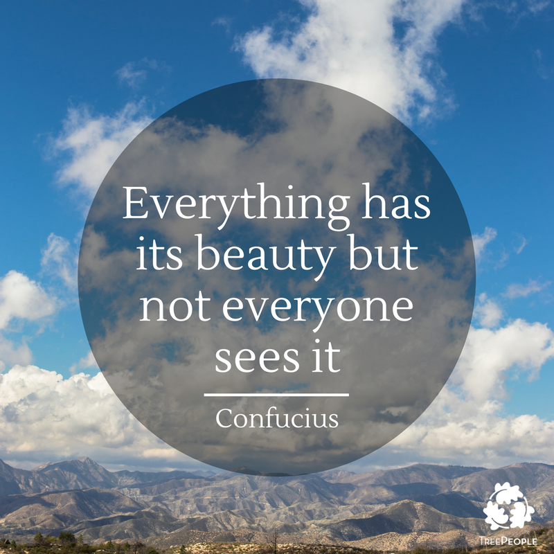 TreePeople_org's tweet photo. Find beauty in nature this week #MondayMotivation https://t.co/8dgJZXhu0z