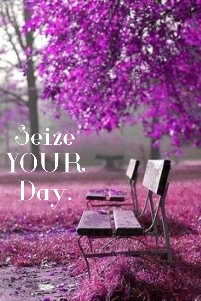 lisaBroeschW's tweet photo. Your day is what you make of it. #practicalbliss https://t.co/Is4378Z5BH