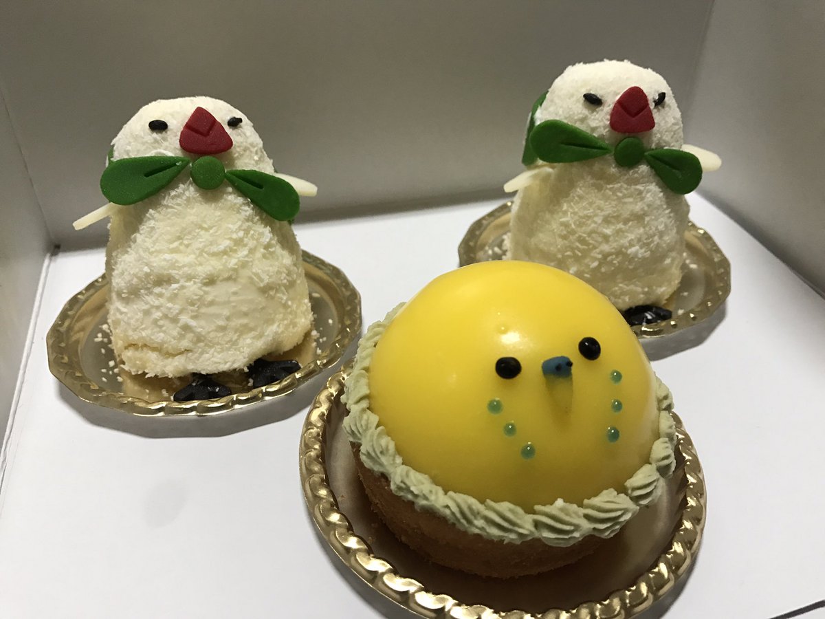 ピネ On Twitter 東急ハンズ心斎橋のことりカフェのに行ってきた インコ 文鳥グッズとケーキを買った ケーキ可愛すぎて 持って帰るのめっちゃ慎重に頑張ったw 満員電車やったけどケーキだけはなんとか守り抜いた