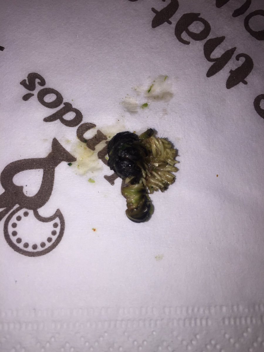 kaymcmb's tweet photo. @NandosUK found this creature in my food Friday - have emailed your HR department. Can someone reply before I contact environmental health? https://t.co/Rql2i6Ncph