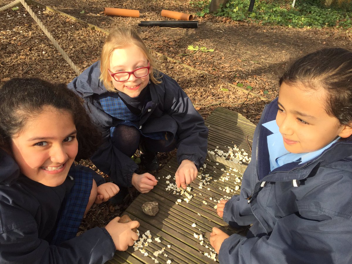 NGHSoutdoors's tweet photo. Lunchtime in Upnah Wood @NottmGirlsHigh #letthemexplore #roomforcreativity #outdoorlearning https://t.co/ykI9qupahX