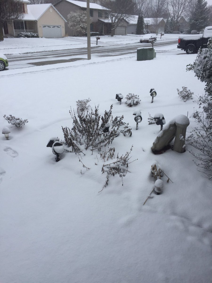 gocubsfan4life's tweet image. #NotMySpring