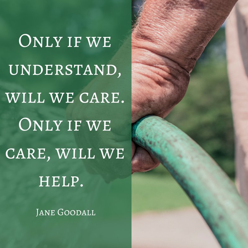 TXConnector's tweet image. #WednesdayWisdom @onestarfdn