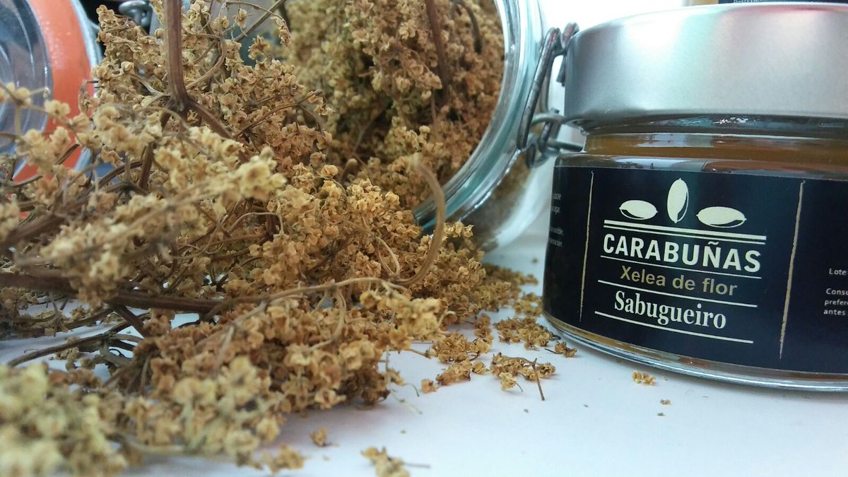 Pasade polos no posto a proba a #xeleasabugueiro <a href="/FGastronomic/">Fòrum Gastronòmic</a>