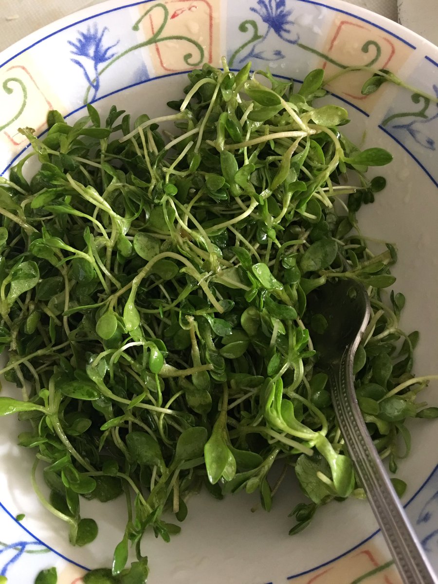 MonicaCuencaH's tweet photo. Aiiiiiii 😍 borujita de la buenaa🥗 https://t.co/YrUqESrEFo
