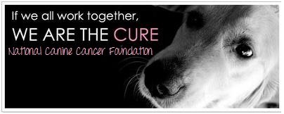 Check out Canine Cancer to learn more! caninecancer.com

#CanineCancer #LoveDogsHateCancer