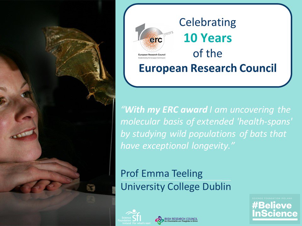 Researchirel's tweet photo. To celebrate #ERC10yrs and Irish Research success, Emma Teeling @EmmaTeeling1 explains the impact of her @ERC_Research award #ERCWeek https://t.co/1PRWcn3RMT