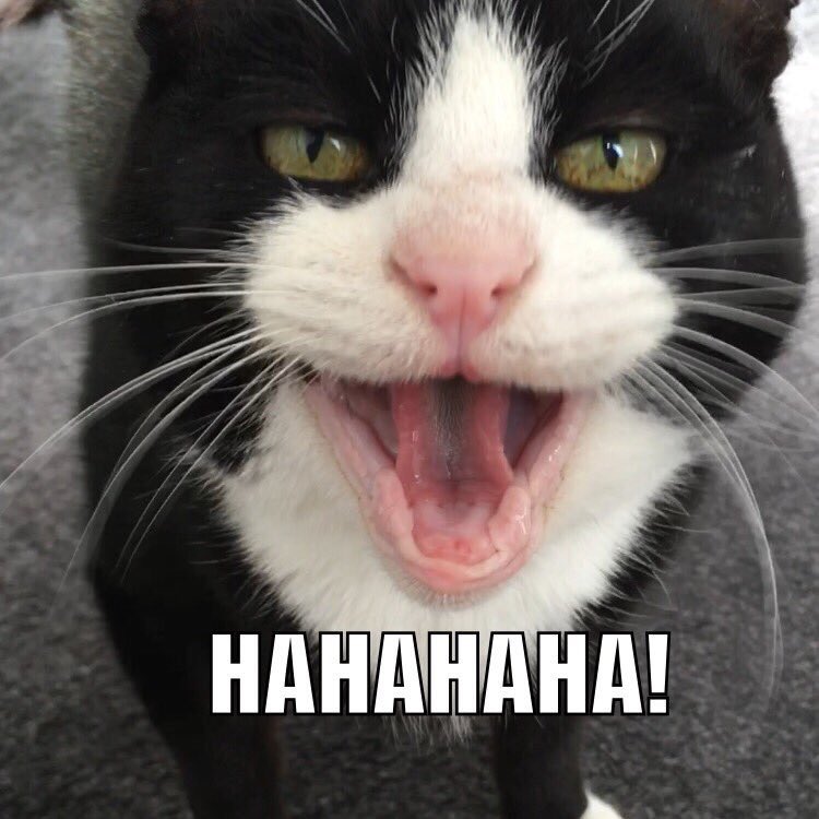 Matijn Nijhuis tweet media