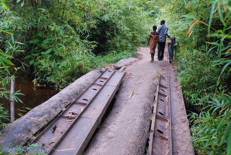 UNEP's tweet photo. READ: How community participation is successfully contributing to forest protection in DRC> https://t.co/Tk6kOTIUsE #shapingforests @unredd https://t.co/aHtIRmFyjx