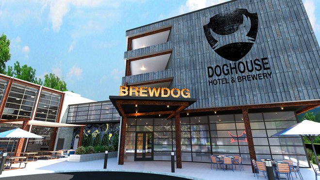foodandwine's tweet image. This new beer hotel will have a hot tub full of IPA—plus in-shower fridges for the ultimate #showerbeer experience:  trib.al/oEfo2Rt