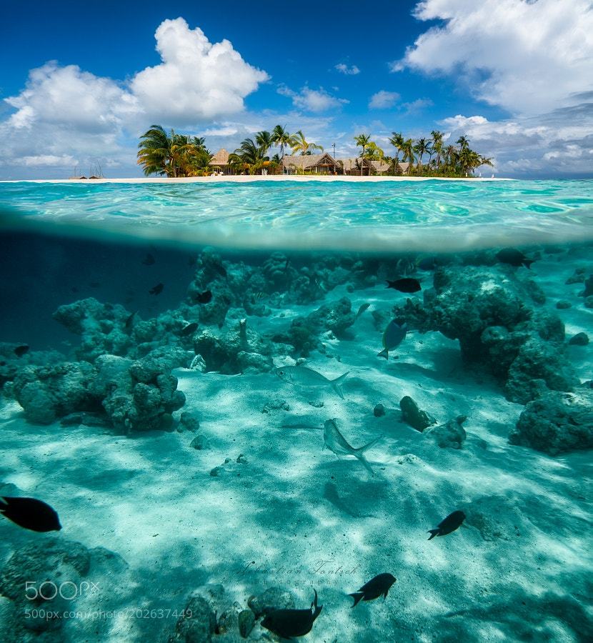 ZaibatsuPlanet's tweet image. Cast Away by Sebastian_Tontsch #photo