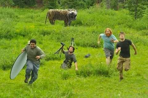 Meme kocak patung macan koramil