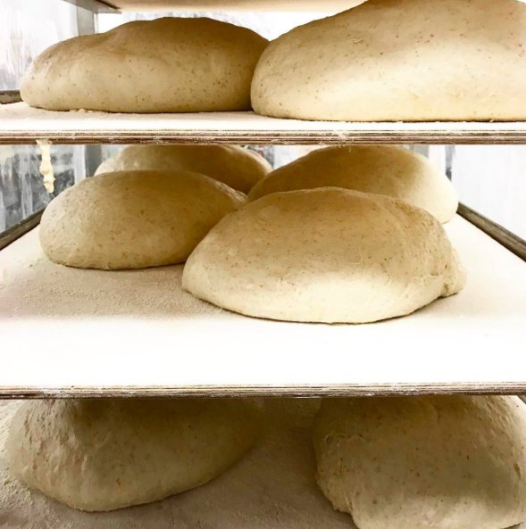 cochonvolant_'s tweet image. RISE + Shine! ☀️ #DoughJokes #BreadHumor