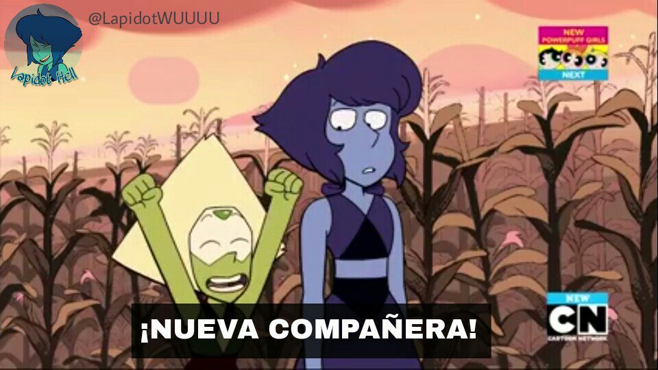 LapidotWUUUU's tweet image. Lol. 
#Lapidot #StevenUniverse