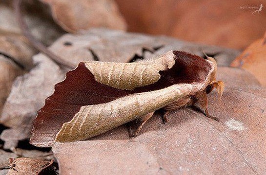 사람 마음은
제 마음도 몰라

누구를 믿고 
누구를 욕해

자신의 영달을
위한 마음만이 있지

실천이 없는
마음은 전부 거짓이고
위선 이야.