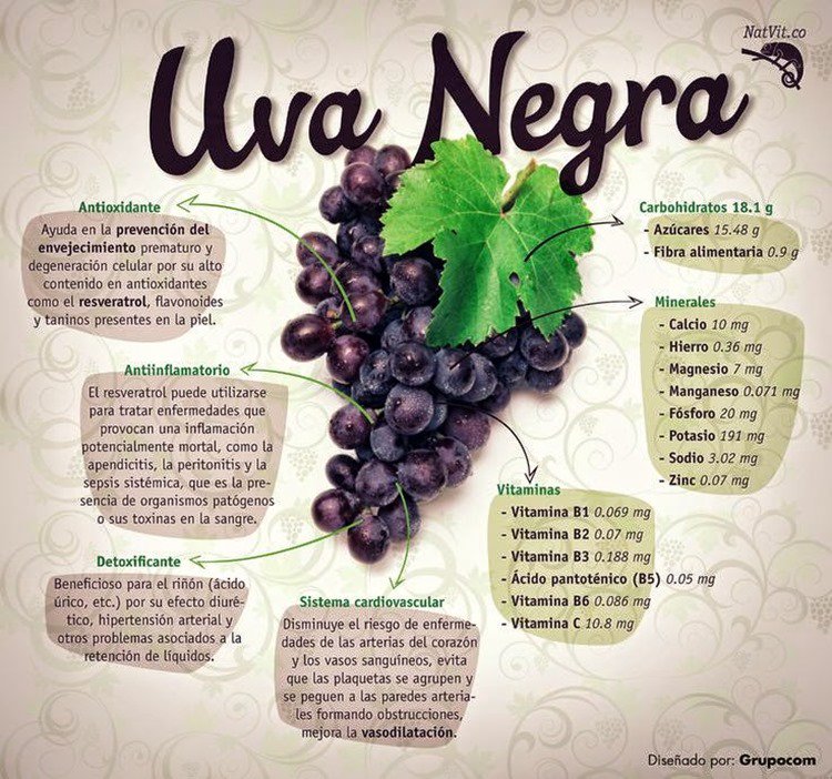 dmanso73's tweet photo. La de propiedades y beneficios que contiene la #uva negra vía @Grupocom https://t.co/KqBDEVb6xD