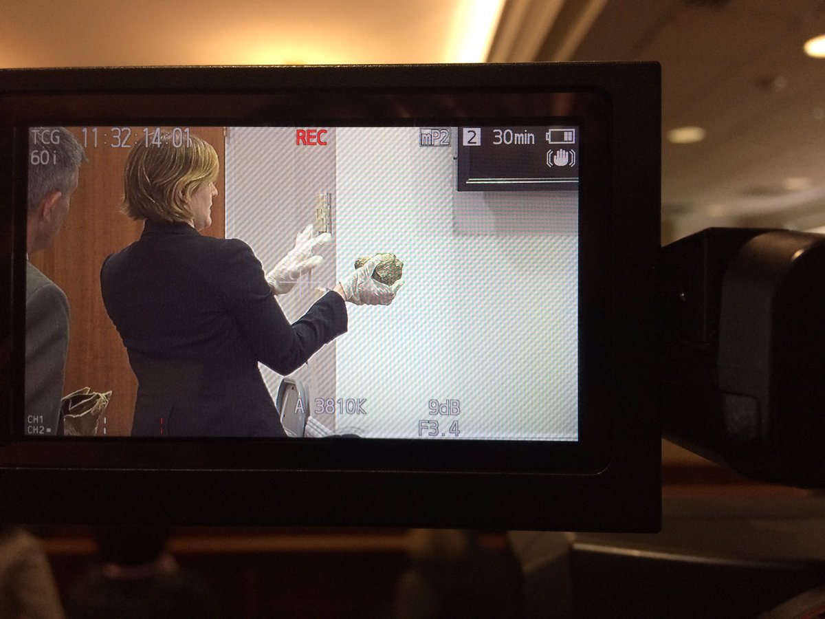 CWilliamsLA1's tweet image. Jurors in #TroyArrington murder trial got to see the landscaping stone used to beat #FengLiu. More updates @TWCNewsRDU