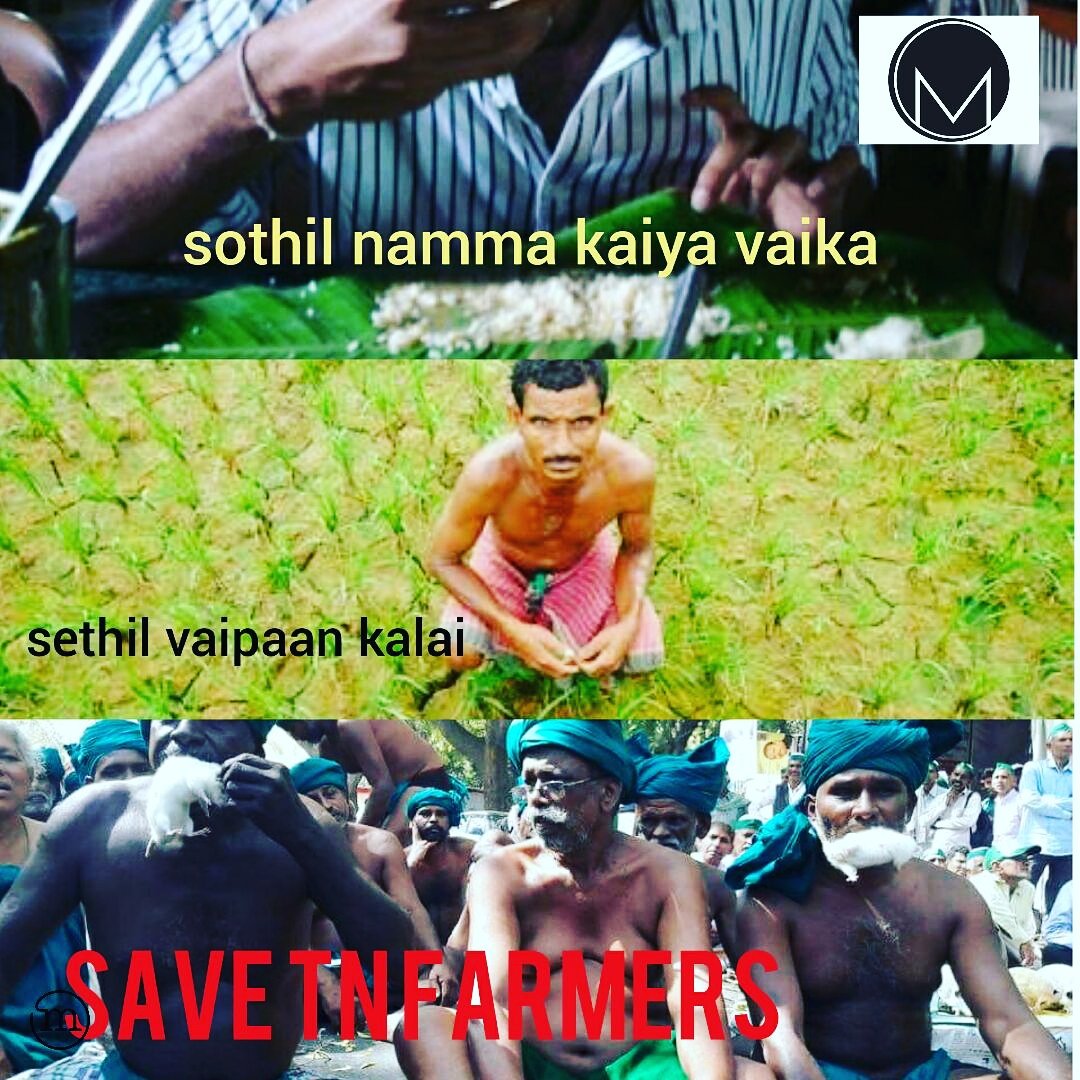 wiki_asal's tweet photo. SOTHIL namma kaiya vaika SETHIL vaipaan kalai!!!!!
#SaveTNfarmers #StandwithFarmers #MemesCollection https://t.co/tBMcWBbeJM