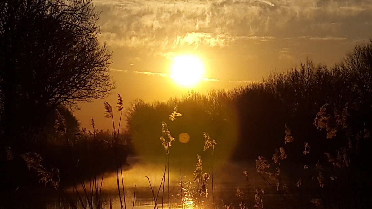 MartDonkervoort's tweet photo. Prachtige zonsopkomst boven Vallei kanaal in Leusden @ValleienVeluwe https://t.co/KDXs6UAv9U