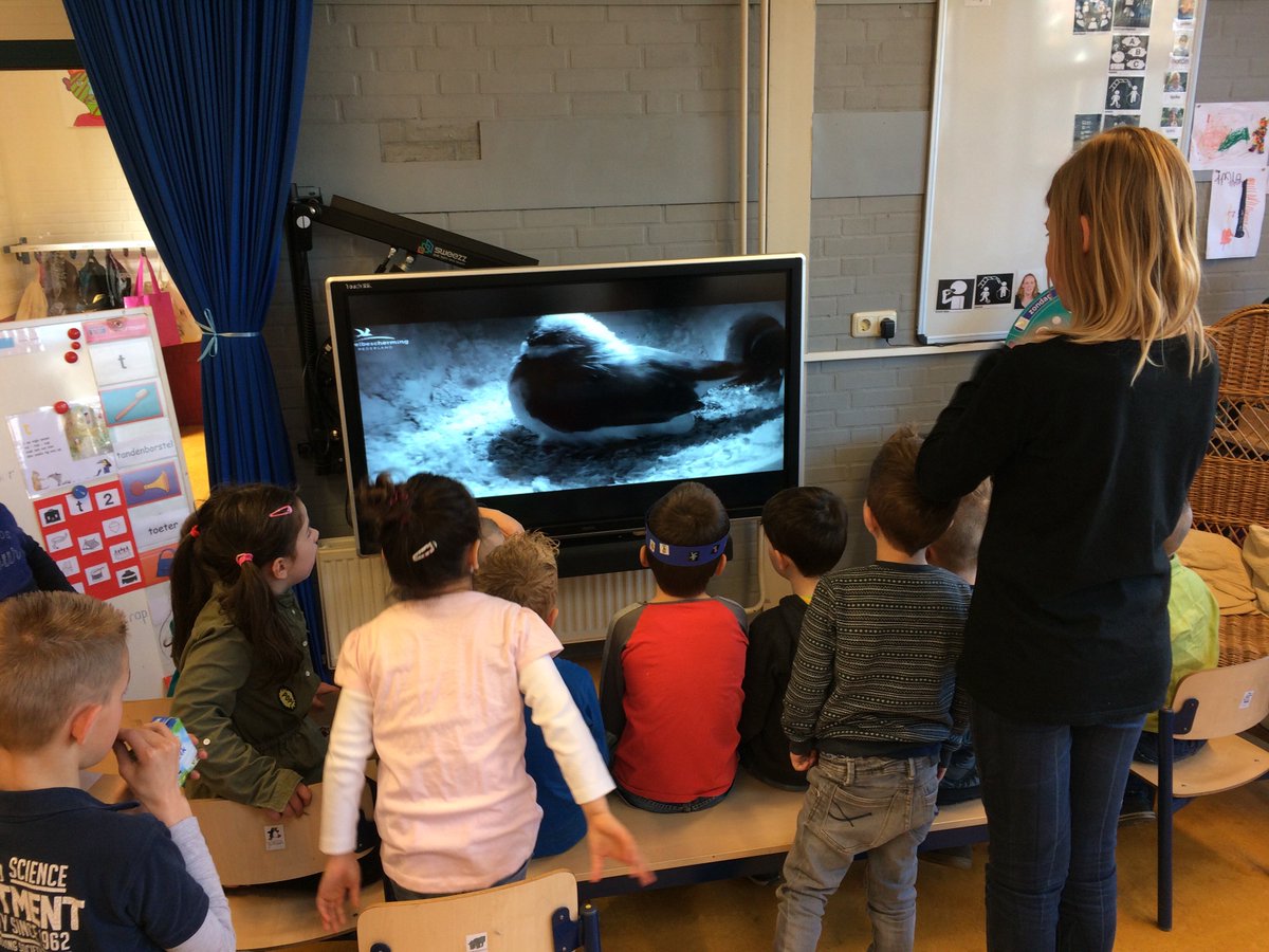 De vogels van #beleefdelente worden weer op de voet gevolgd <a href="/ksbodeVorm/">ksbodeVorm</a>