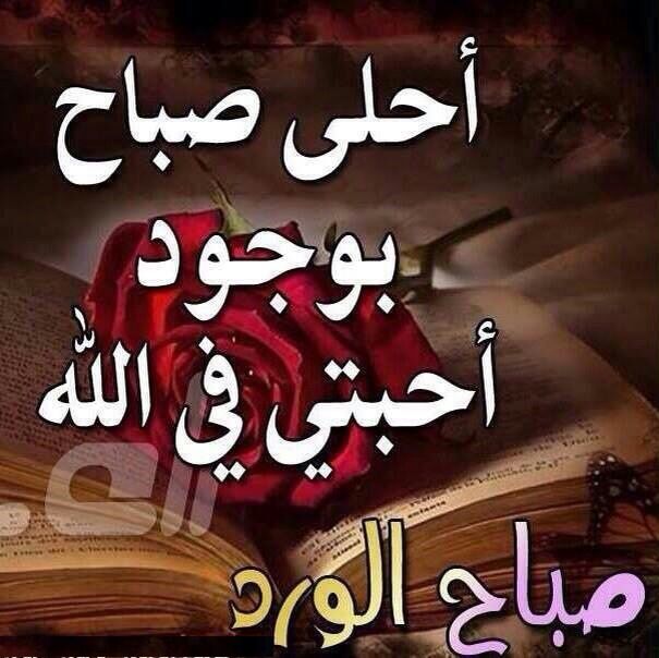 <a href="/narjes__83/">زهرةالنرجس البيضاء</a> <a href="/Mortda313/">سلمان الشيطان</a> <a href="/OutrageousSoul1/">قومچي (بطل الحفره)</a>